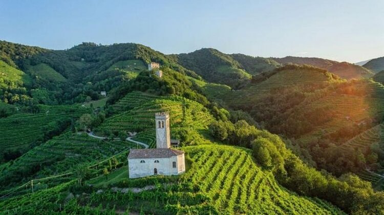 Prosecco-Hills-Conegliano-Valdobbiadene-Unesco