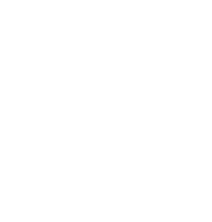 Logo Maestro Artigiano